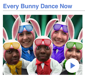 Bunny Dance